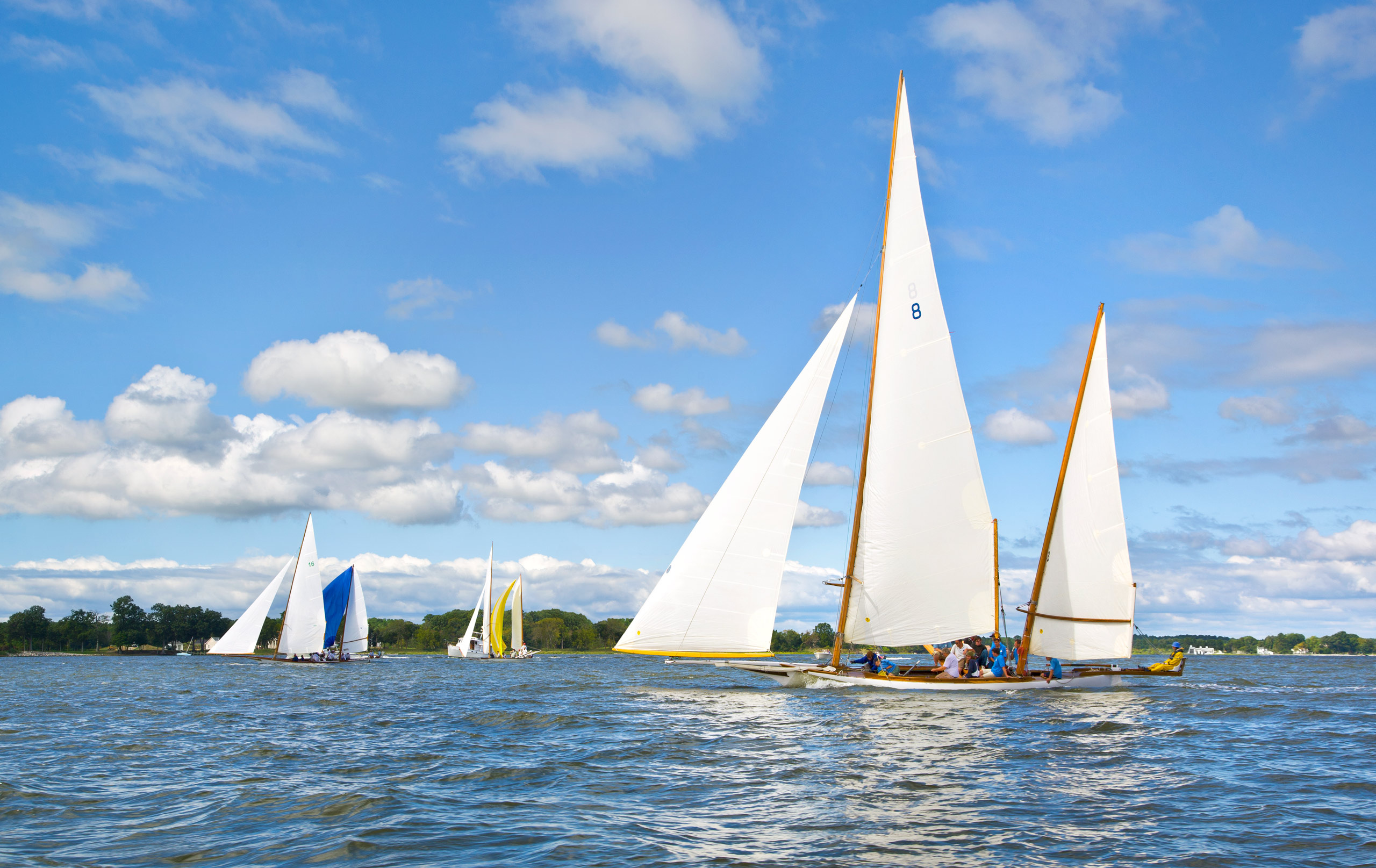 Sailing Log Canoes Greg Pease Photography